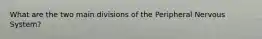What are the two main divisions of the Peripheral Nervous System?