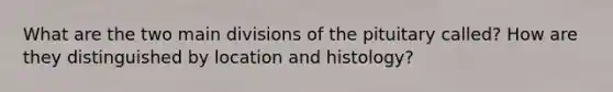 What are the two main divisions of the pituitary called? How are they distinguished by location and histology?