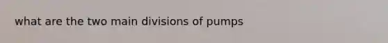 what are the two main divisions of pumps