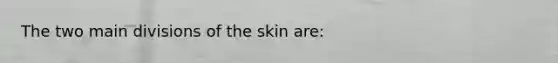 The two main divisions of the skin are: