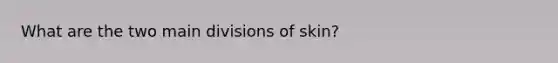 What are the two main divisions of skin?