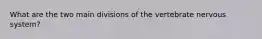 What are the two main divisions of the vertebrate nervous system?