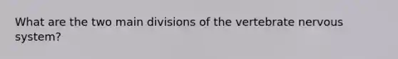 What are the two main divisions of the vertebrate nervous system?