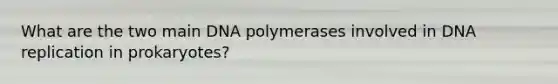 What are the two main DNA polymerases involved in DNA replication in prokaryotes?