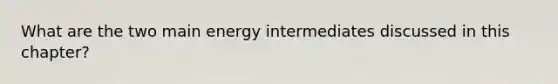 What are the two main energy intermediates discussed in this chapter?