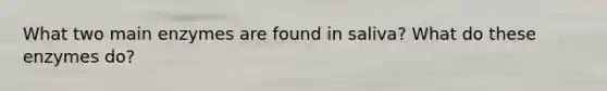 What two main enzymes are found in saliva? What do these enzymes do?