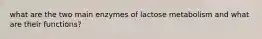 what are the two main enzymes of lactose metabolism and what are their functions?