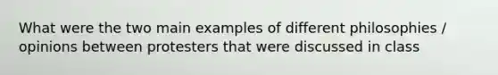 What were the two main examples of different philosophies / opinions between protesters that were discussed in class