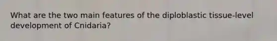 What are the two main features of the diploblastic tissue-level development of Cnidaria?
