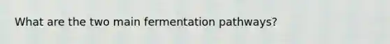 What are the two main fermentation pathways?