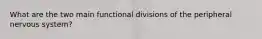 What are the two main functional divisions of the peripheral nervous system?