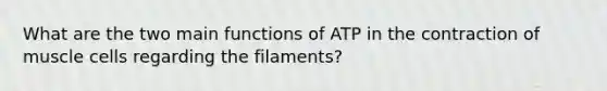 What are the two main functions of ATP in the contraction of muscle cells regarding the filaments?