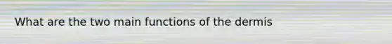 What are the two main functions of the dermis