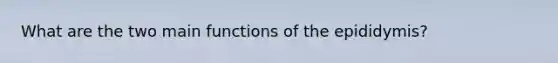 What are the two main functions of the epididymis?