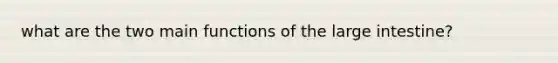 what are the two main functions of the large intestine?