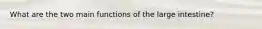What are the two main functions of the large intestine?