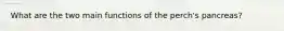 What are the two main functions of the perch's pancreas?