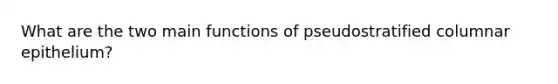 What are the two main functions of pseudostratified columnar epithelium?