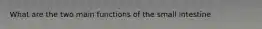 What are the two main functions of the small intestine