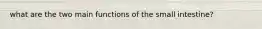 what are the two main functions of the small intestine?