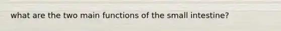 what are the two main functions of the small intestine?