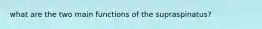 what are the two main functions of the supraspinatus?