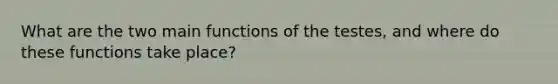 What are the two main functions of the testes, and where do these functions take place?