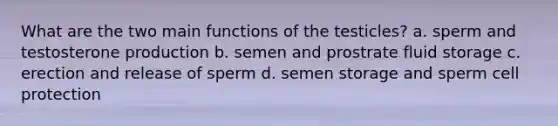 What are the two main functions of the testicles? a. sperm and testosterone production b. semen and prostrate fluid storage c. erection and release of sperm d. semen storage and sperm cell protection