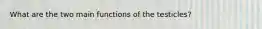 What are the two main functions of the testicles?