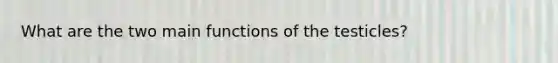 What are the two main functions of the testicles?