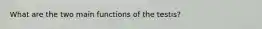 What are the two main functions of the testis?