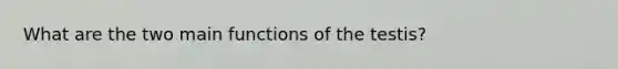 What are the two main functions of the testis?