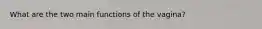 What are the two main functions of the vagina?