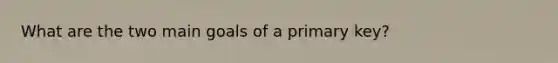 What are the two main goals of a primary key?