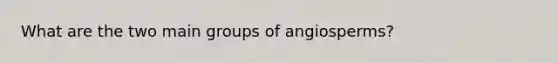 What are the two main groups of angiosperms?