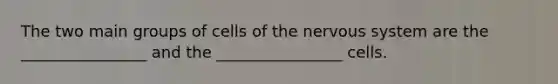 The two main groups of cells of the nervous system are the ________________ and the ________________ cells.