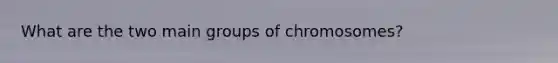 What are the two main groups of chromosomes?