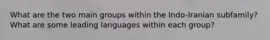 What are the two main groups within the Indo-Iranian subfamily? What are some leading languages within each group?