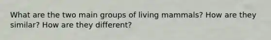 What are the two main groups of living mammals? How are they similar? How are they different?