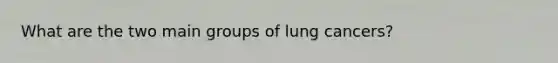 What are the two main groups of lung cancers?