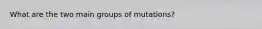 What are the two main groups of mutations?