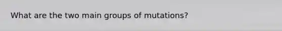 What are the two main groups of mutations?