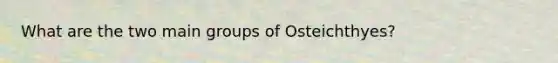 What are the two main groups of Osteichthyes?