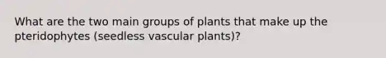 What are the two main groups of plants that make up the pteridophytes (seedless vascular plants)?