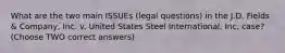 What are the two main ISSUEs (legal questions) in the J.D. Fields & Company, Inc. v. United States Steel International, Inc. case? (Choose TWO correct answers)