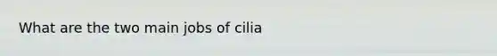 What are the two main jobs of cilia