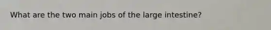 What are the two main jobs of the large intestine?