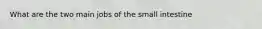 What are the two main jobs of the small intestine