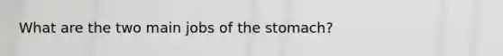 What are the two main jobs of the stomach?