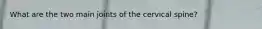 What are the two main joints of the cervical spine?